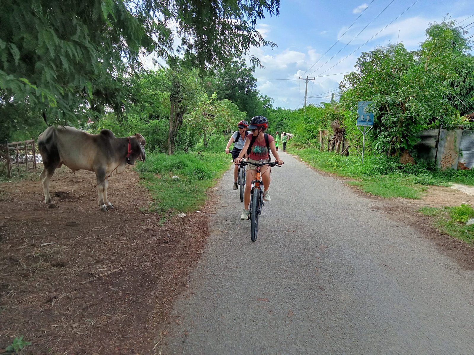 Angkor Explore Cycling Holiday 5 Days